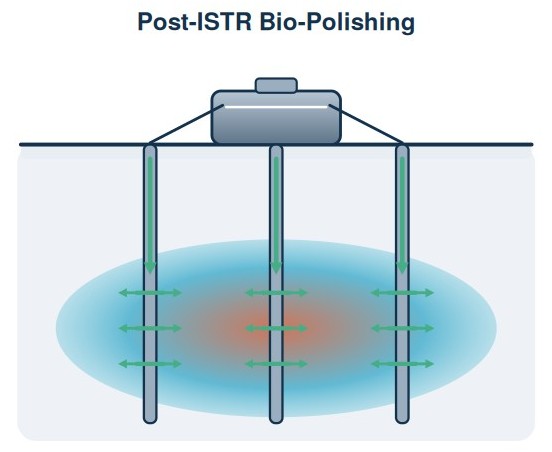 Diagram of biological polishing after thermal treatment